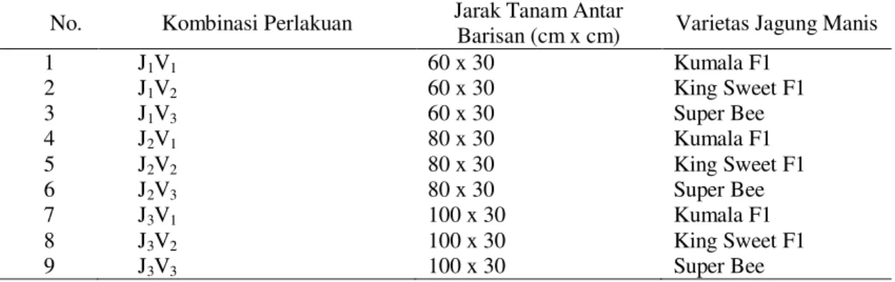 Tabel 1. Susunan Kombinasi Perlakuan Jarak Tanam Antar Barisan dan Varietas Jagung Manis  pada Sistem Tumpangsari dengan Kacang Merah 