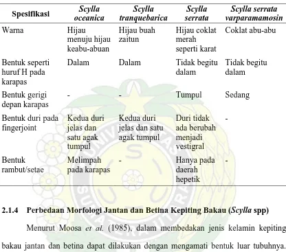 Tabel 2.1. Morfologi Kepiting Bakau (Scylla spp) 