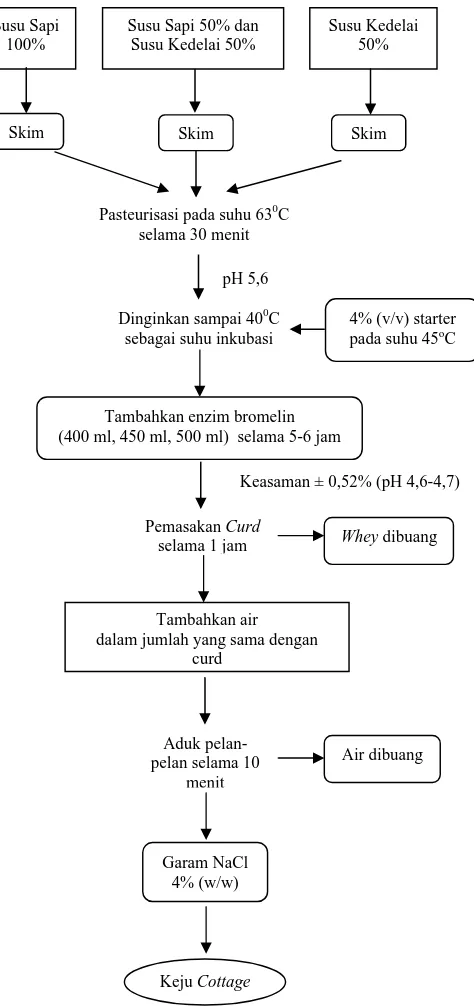 Gambar 3.  Diagram Alir Pembuatan Keju Cottage (Nurhidayati, 2003)  