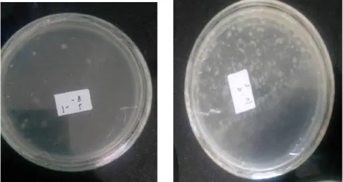 Gambar 4.1 Densitas bakteri yang TumbuhNOLokasi PasarSuhu