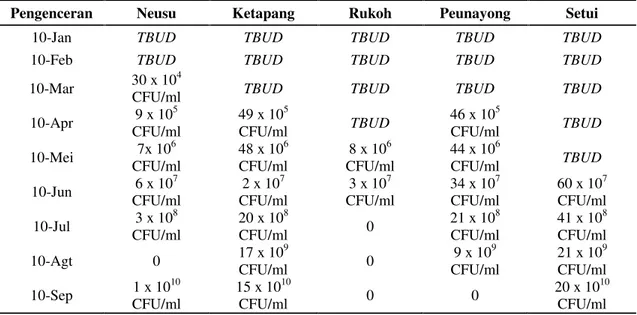 Tabel 4.2. Hasil penghitungan densitas bakteri
