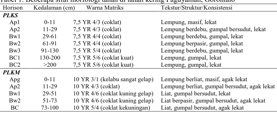 Tabel 1. Beberapa sifat morfologi tanah di lahan kering Paguyaman, Gorontalo Horison Kedalaman (cm) Warna Matriks Tekstur/Struktur/Konsistensi 