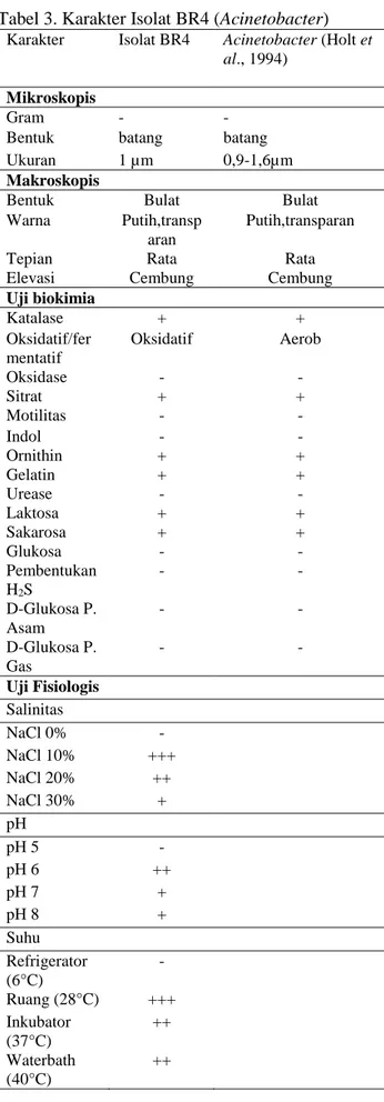 Tabel 4. Karakter Isolat BR5 (Serratia) 