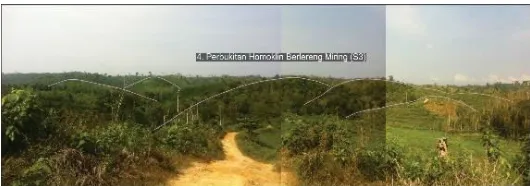 Gambar 1. Kenampakan Bentuk Lahan Perbukitan Bergelombang Berlereng Sedang 