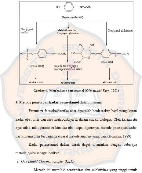 Gambar 4.  Metabolisme parasetamol (Gibson and Skett, 1991) 