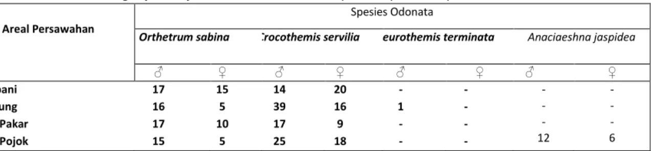 Tabel 1. Perbandingan jumlah jantan dan betina Odonata pada empat lokasi penelitian 