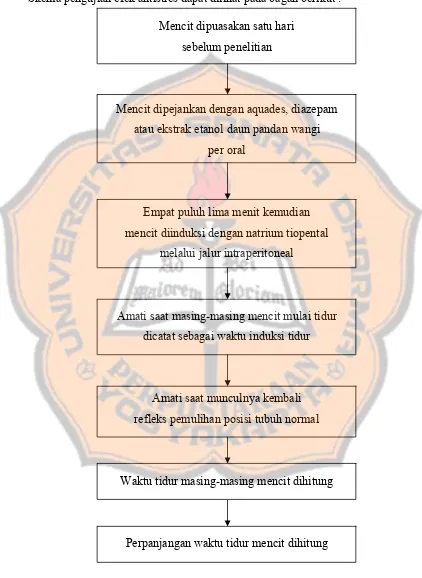 Gambar 8. Skema pengujian efek antistres 