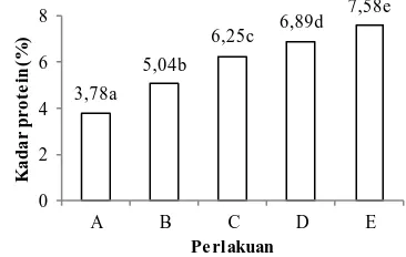 Gambar 9. Rerata nilai kadar protein (%) kerupuk keong mas  