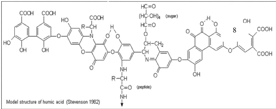 Gambar 2.1  Model Struktur Asam Humus (Stevenson 1982) 