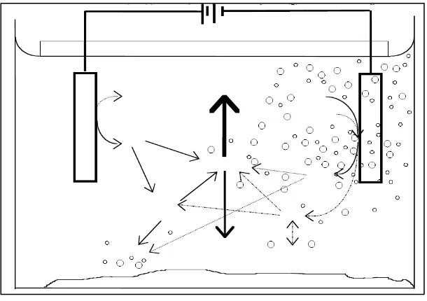 Gambar 2.6. Interaksi Dalam Proses Elektrokoagulasi   