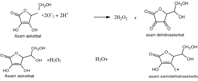 Gambar  4.      Mekanisme  reaksi  asam  askorbat  dan  ion  superoksida  (atas)  dan  hidrogen  peroksida  (bawah)  (Asada, 1992)