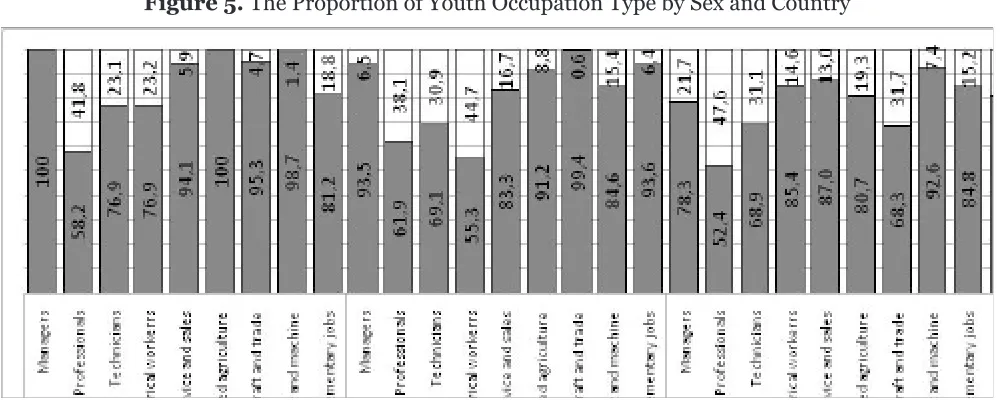 Figure 5. The Proportion of Youth Occupation Type by Sex and Country