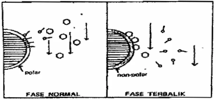 Gambar 4. Skema mekanisme pemisahan dalam kromatografi partisi (Munson, 1984).