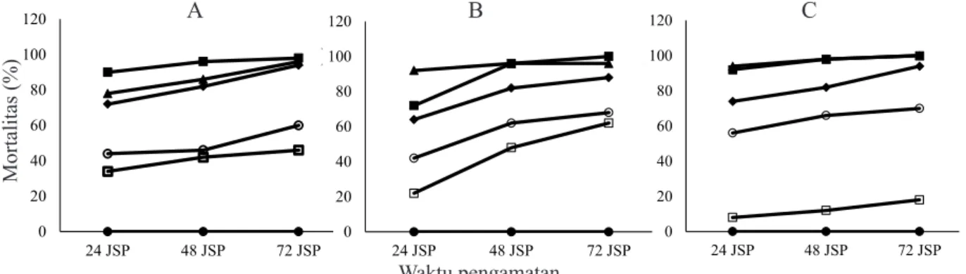 Gambar 1. Perkembangan tingkat mortalitas imago Paracoccus marginatus akibat perlakuan ekstrak  Tephrosia                       vogelii (A), Piper retrofractum (B) dan Anonna squamosa (C)
