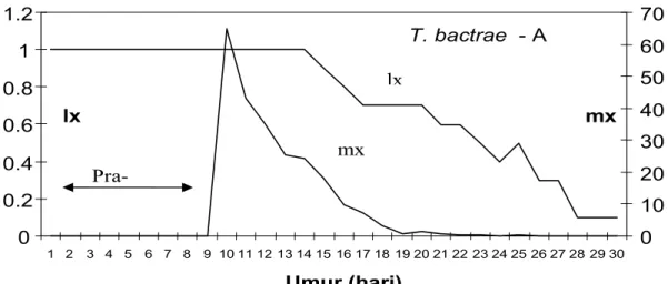 Gambar  4.  Kurva ketahanan hidup T. bactrae  - A  pada telur C. cephalonica  Figure    4
