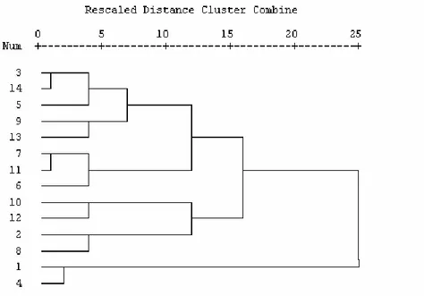 Figure 1. Dendrogram of the cluster analysis of phenotypic distances of sweet maize  inbreds  