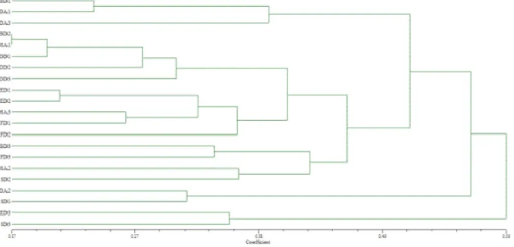 Figure  4.  Dendrogram  of  21  maize  dent  landraces constructed  using  UPGMA  cluster analysis  of genetic  distance values (Nei and Li, 1979) obtained from SSR data
