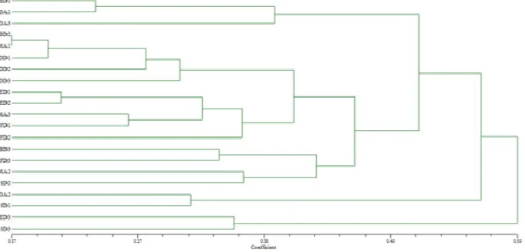 Figure  4.  Dendrogram  of  21  maize  dent  landraces constructed  using  UPGMA  cluster analysis  of genetic  distance values (Nei and Li, 1979) obtained from SSR data
