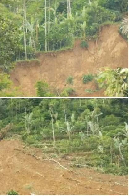 Gambar 9. Aliran Air yang Mengalir dari Mataair yang Berasal Bagian Atas dan Tengah Mahkota Longsor yang Terpotong Topograinya