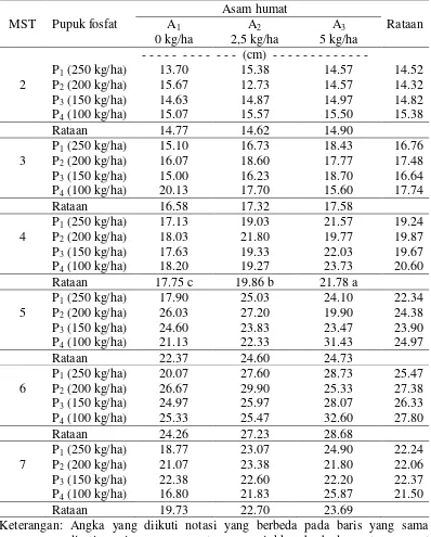 Tabel 1. Panjang tanaman bawang merah 2 - 7 MST (cm) pada pemberian pupuk fosfat dan asam humat 