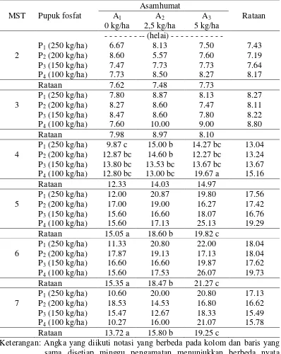 Tabel 2. Jumlah daun bawang merah 2 - 7 MST (helai) pada pemberian pupuk fosfat dan asam humat 