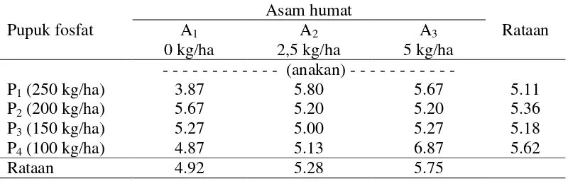 Tabel 3. Jumlah anakan bawang merah 7 MST (anakan) pada pemberian pupuk fosfat dan asam humat 