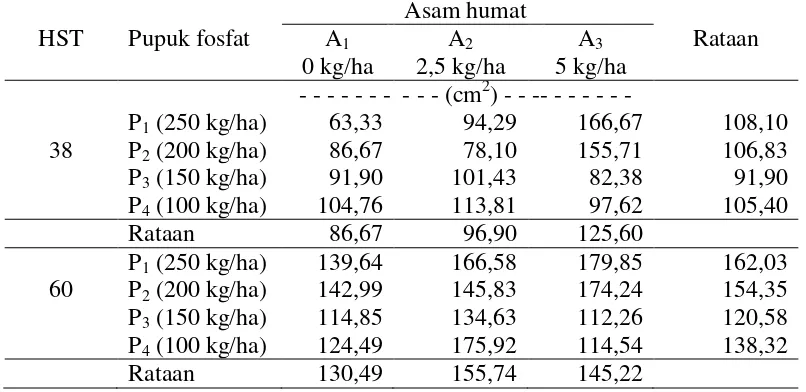 Tabel 4. Total luas daun bawang merah  38 dan 60 HST  (cm2) pada pemberian pupuk fosfat dan asam humat 