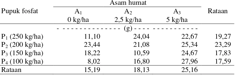 Tabel 8. Bobot basah umbi per sampel bawang merah  (g) pada pemberian pupuk fosfat dan asam humat 