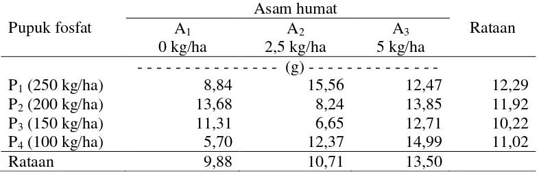 Tabel 9. Bobot kering umbi per sampel  bawang merah  (g) pada pemberian pupuk fosfat dan asam humat 