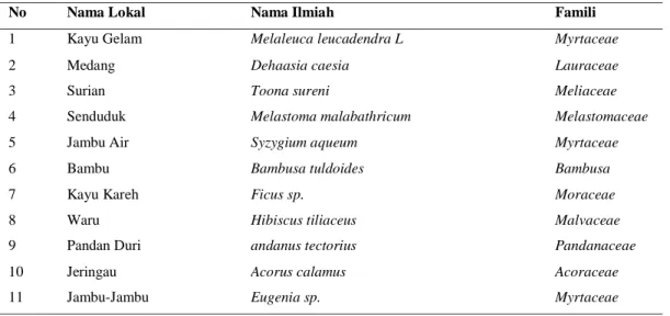 Tabel 2.  Jenis flora di temukan di Rawa Bento. 
