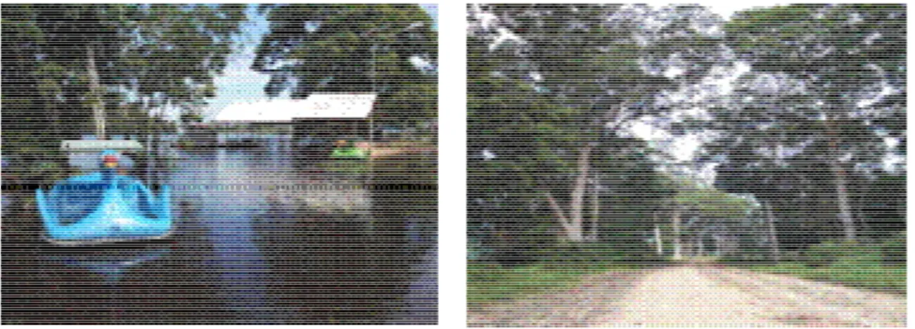 Gambar 1. Kondisi Fisik Danau Kajuik (A) dan   Kondisi Akses Jalan (B) 