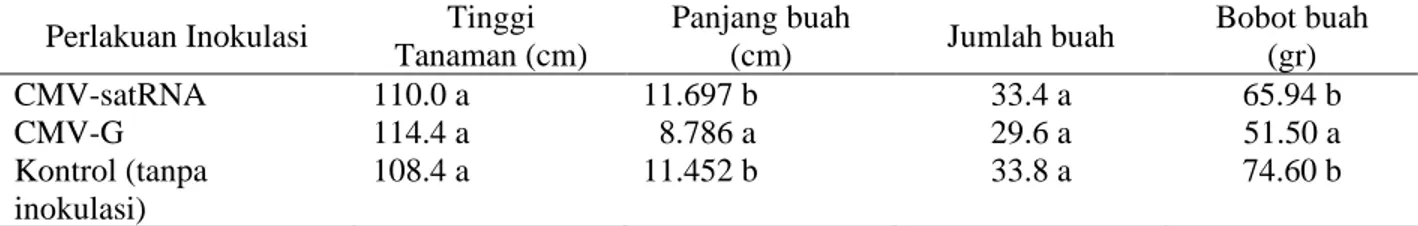 Tabel 1. Tinggi tanaman, panjang, jumlah dan bobot buah tanaman cabai yang terinfeksi CMV-satRNA dan  CMV-G  