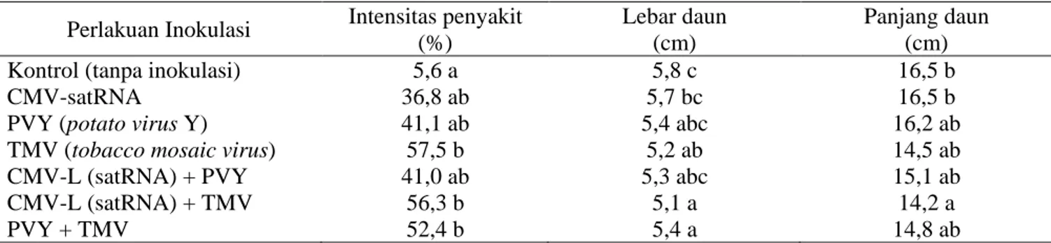 Tabel 2. Intensitas penyakit, lebar dan panjang daun tanaman cabai yang terinfeksi tunggal CMV-satRNA dan  infeksi ganda dengan TMV dan PVY 
