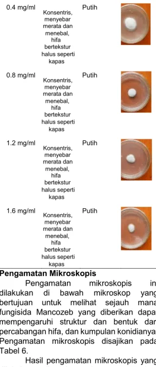Tabel  5.  Bentuk  dan  warna  koloni  Phaeophleospora  sp.  pada  pengamatan 12 HSI  Perlakuan Bentuk  koloni Warna koloni Gambar 0 mg/ml Konsentris,  menyebar merata dan menebal,  hifa bertekstur halus seperti  kapas Putih 0.4 mg/ml Konsentris, menyebarm