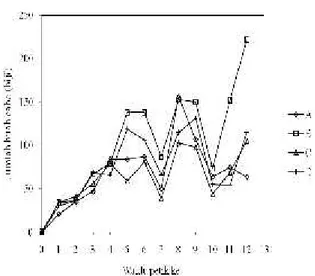 Gambar 3: Grafik jumlah buah cabe merah setiap pemanenan (4 hari) Unsur  N  juga  akan  memacu pertumbuhan  dari  tananam  cabe