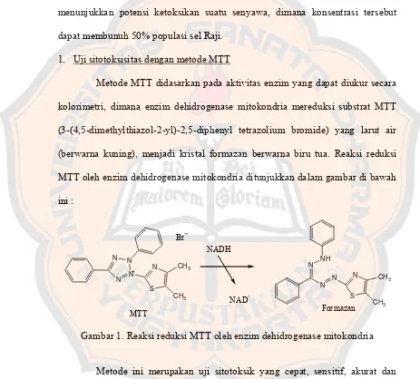 Gambar 1. Reaksi reduksi MTT oleh enzim dehidrogenase mitokondria 