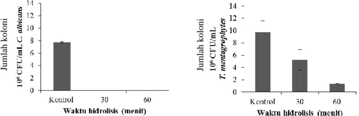 Gambar 2.  Hasil penghitungan koloni C. albicans dan T. mentagrophytes setelah diberi perlakuan  peptida  hasil  hidrolisis  pH  11  dengan  waktu  hidrolisis  30  menit  (7,5  mg  protein/ml  dan 60 menit (1,25 mg protein/ml) 