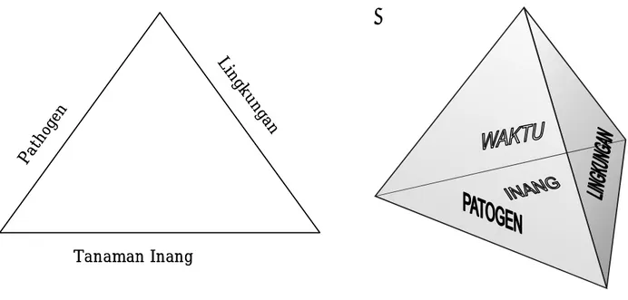 Gambar 2. Piramida penyakit.