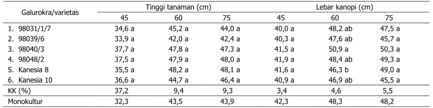Tabel 2. Tinggi tanaman dan lebar kanopi kedelai pada kondisi tumpang sari dengan kapas berdaun okra  dan normal 