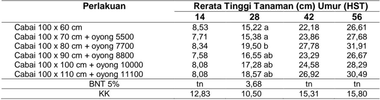 Tabel  1  Rerata  Tinggi  Tanaman  Cabai  Rawit  Akibat  Perlakuan  Jarak  Tanam  Cabai  Rawit  dan  Populasi Oyong Umur 14-56 HST 