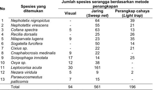 Tabel  3.  Hasil  Analisis  Indeks  Keanekaragaman,  Kemerataan dan  Dominansi  Spesies Serangga Herbivora yang diperoleh selama penelitian pada bulan Juni – Agustus 2016