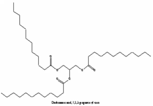 Gambar 6. Kromatogram GC-MS minyak jarak pagar metode IIGambar 5. Struktur Dodecanoic acid, 
