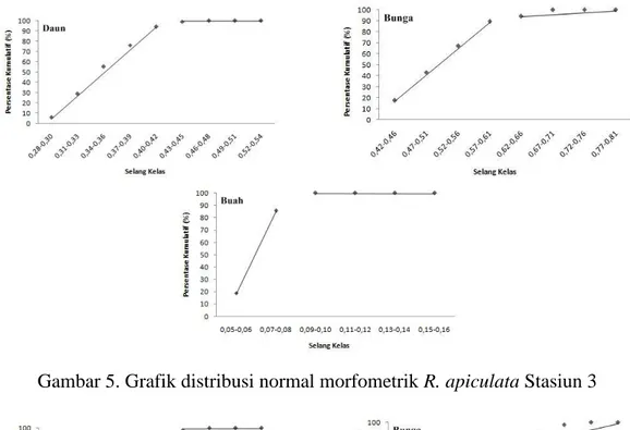 Gambar 5. Grafik distribusi normal morfometrik R. apiculata Stasiun 3 