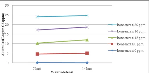 Gambar 2. Pengaruh konsentrasi dan waktu detensi terhadap akumulasi logam kadmium pada daun kangkung air 