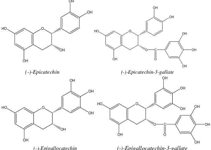 Gambar 1. Struktur epicatechin, epicatechin-3-gallat, epigallocatechin, dan epigallocatechin-3-gallat (Svobodova et al., 2003) 