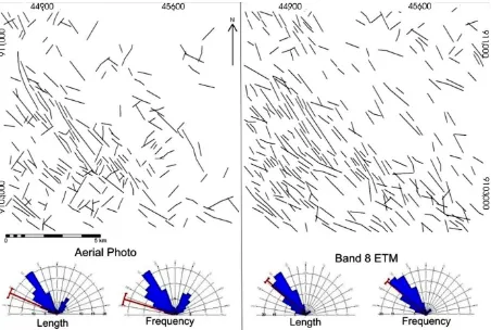 Figure 5.  Lineaments and rose diagrams extracted from the panchromatic aerial photograph and Landsat ETM+ band 8 after being subjected to slicing and directional filtering 