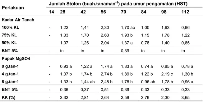 Tabel 5.    Rata-Rata  Jumlah  Stolon  Tanaman  Stroberi  Akibat  Perlakuan  Kadar  Air  Tanah  dan  Pemupukan MgSO 4