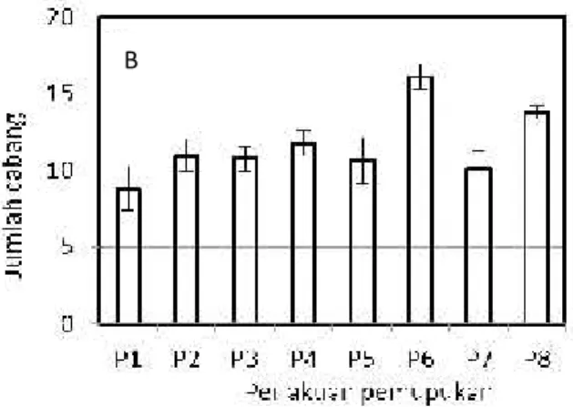 Gambar 1. Pengaruh pemupukan terhadap pertumbuhan tinggi tanaman (A) dan jumlah cabang (B).