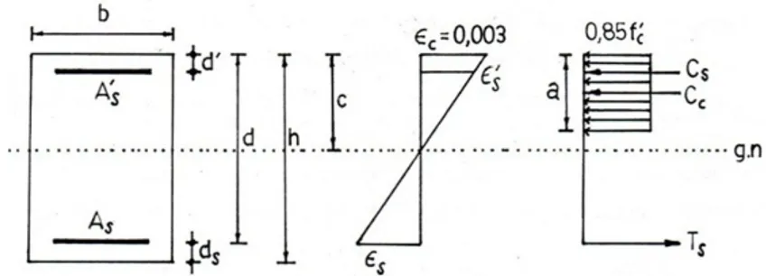 Gambar 3. Diagram Tegangan dan Regangan Penampang Kolom (Nawi, 1990).