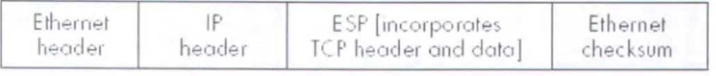 Gambar 2.16 Paket TCPIIP menggunakan ESP dalam Ethernet LAN 